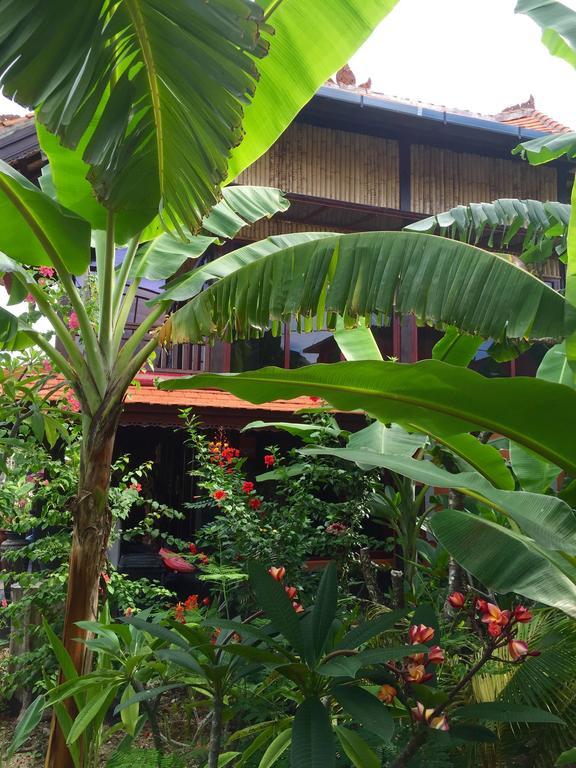 Mahogany Cottage Gili Meno Habitación foto